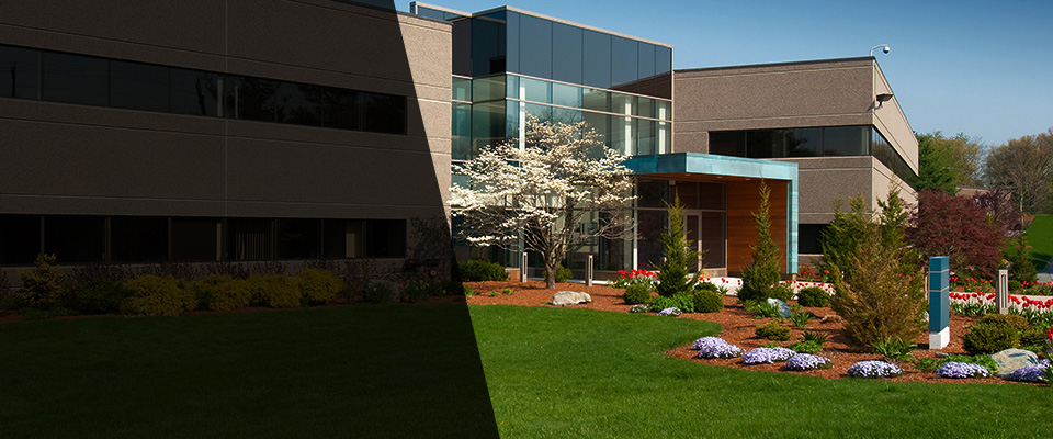 Belle Mead Landscapers